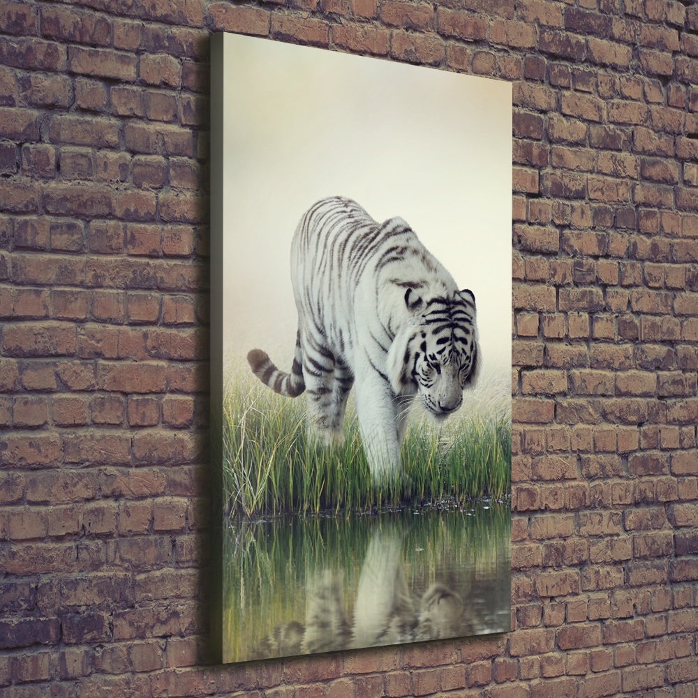 Canvas wall art White Tiger