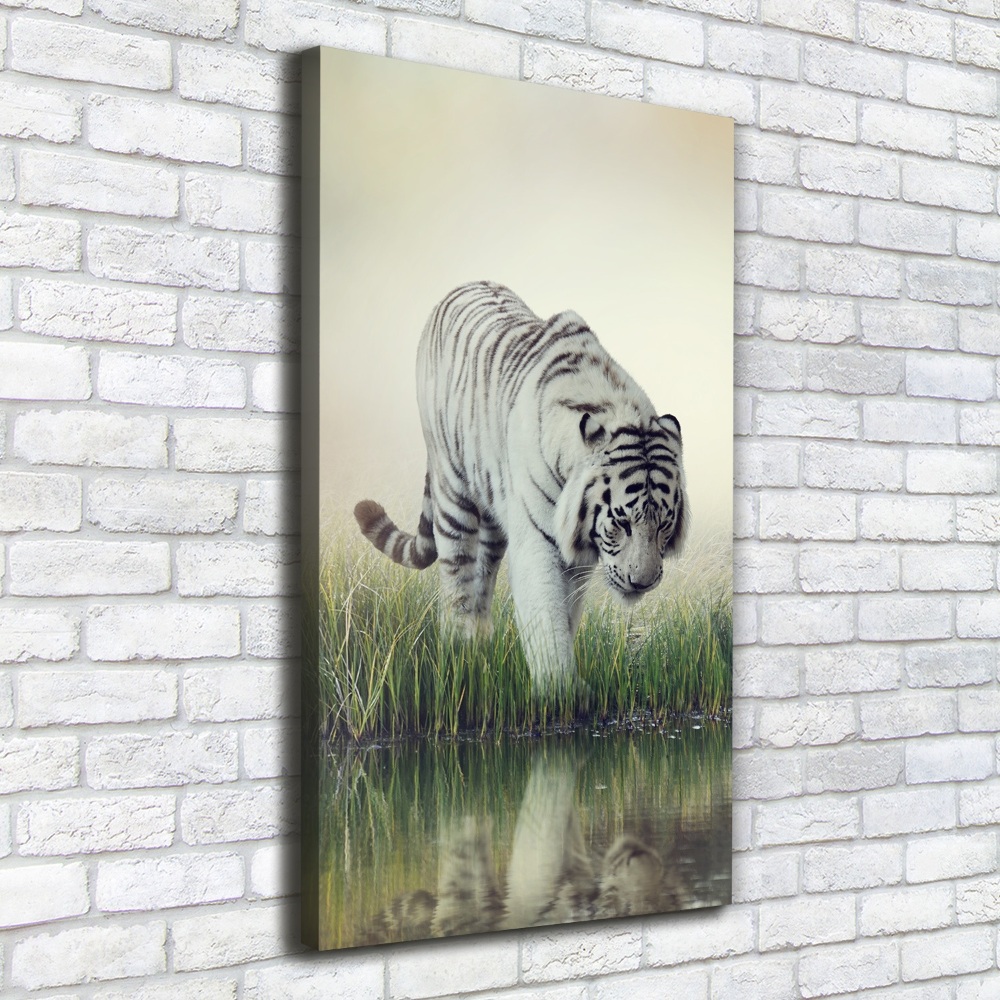 Canvas wall art White Tiger