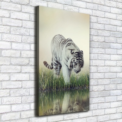 Canvas wall art White Tiger