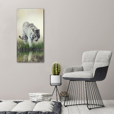 Canvas wall art White Tiger