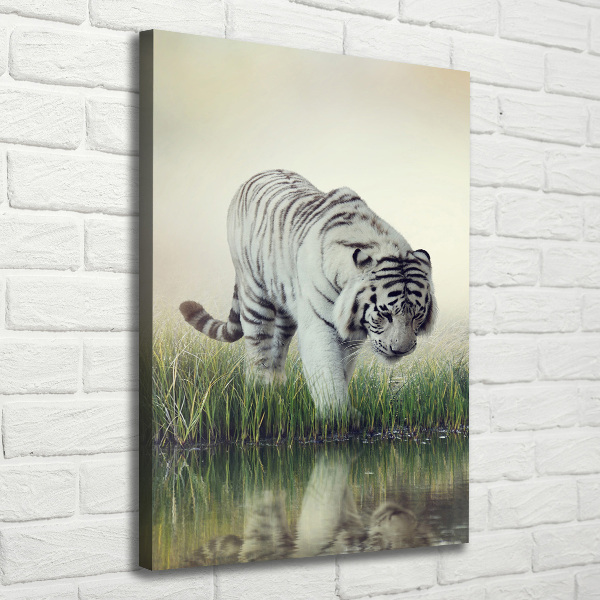 Canvas wall art White Tiger