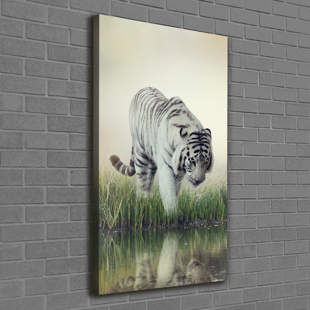 Canvas wall art White Tiger