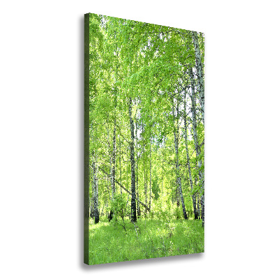 Canvas print Birch forest