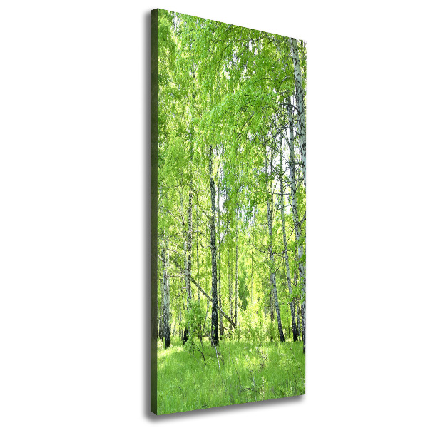 Canvas print Birch forest