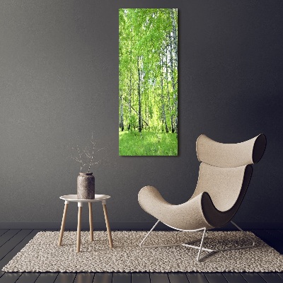 Canvas print Birch forest