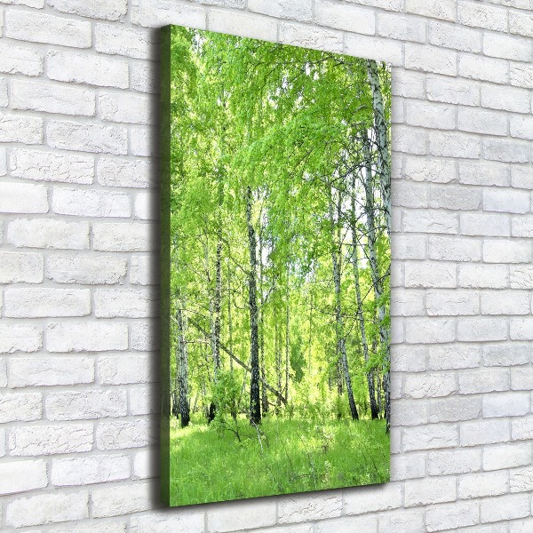 Canvas print Birch forest