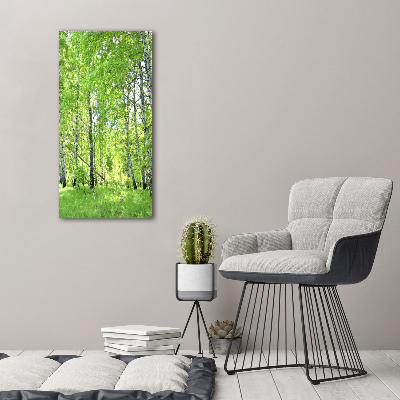 Canvas print Birch forest