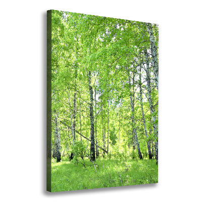 Canvas print Birch forest