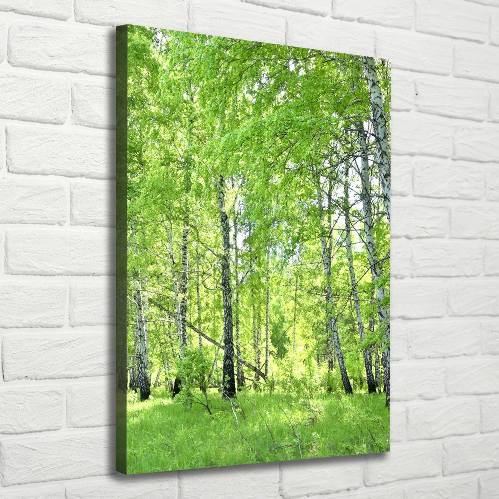 Canvas print Birch forest