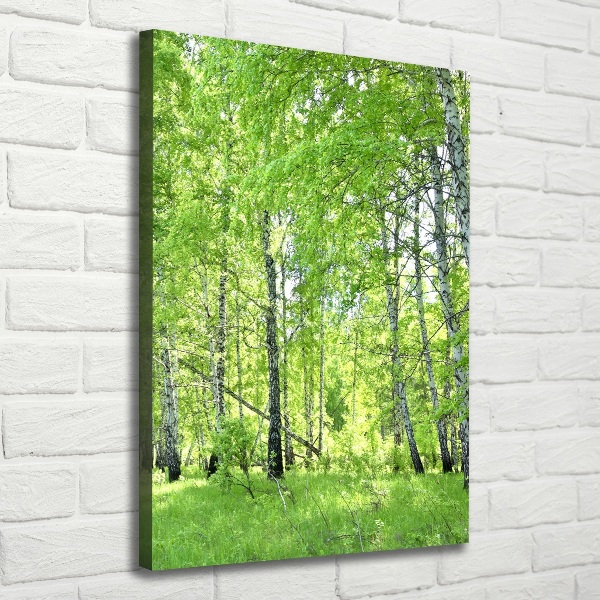 Canvas print Birch forest