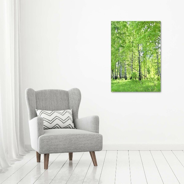 Canvas print Birch forest