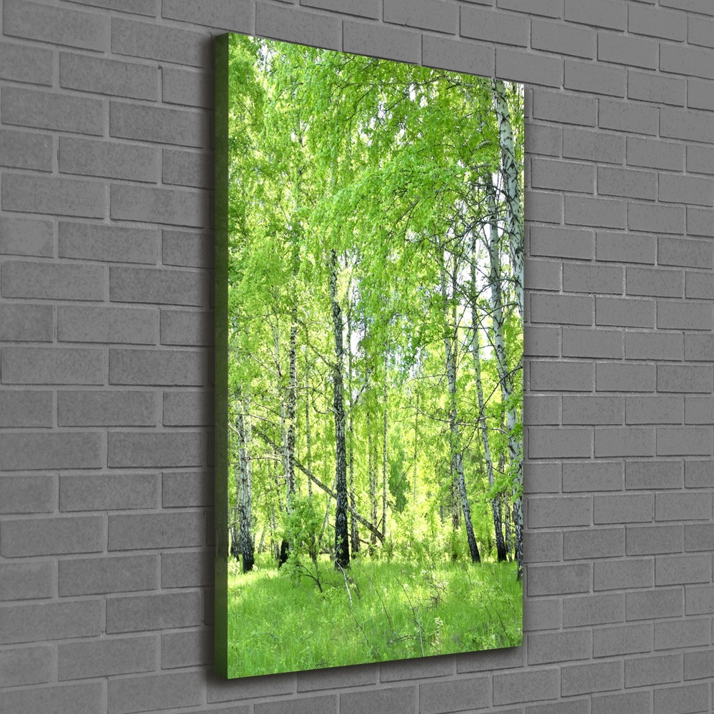 Canvas print Birch forest