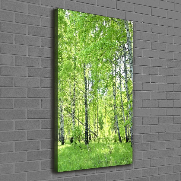 Canvas print Birch forest