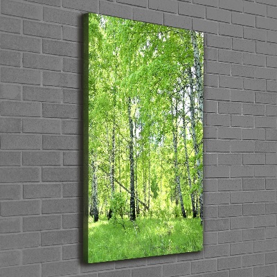 Canvas print Birch forest