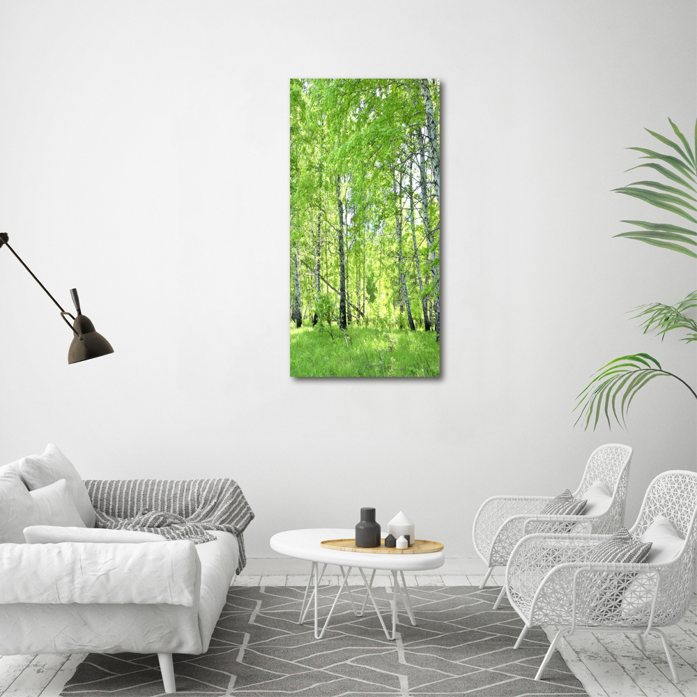 Canvas print Birch forest