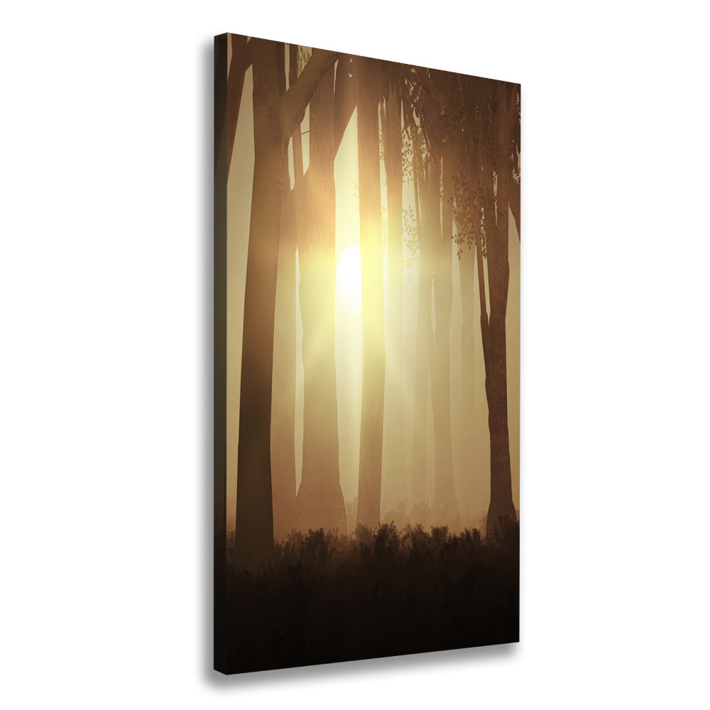 Canvas print Fog in the forest