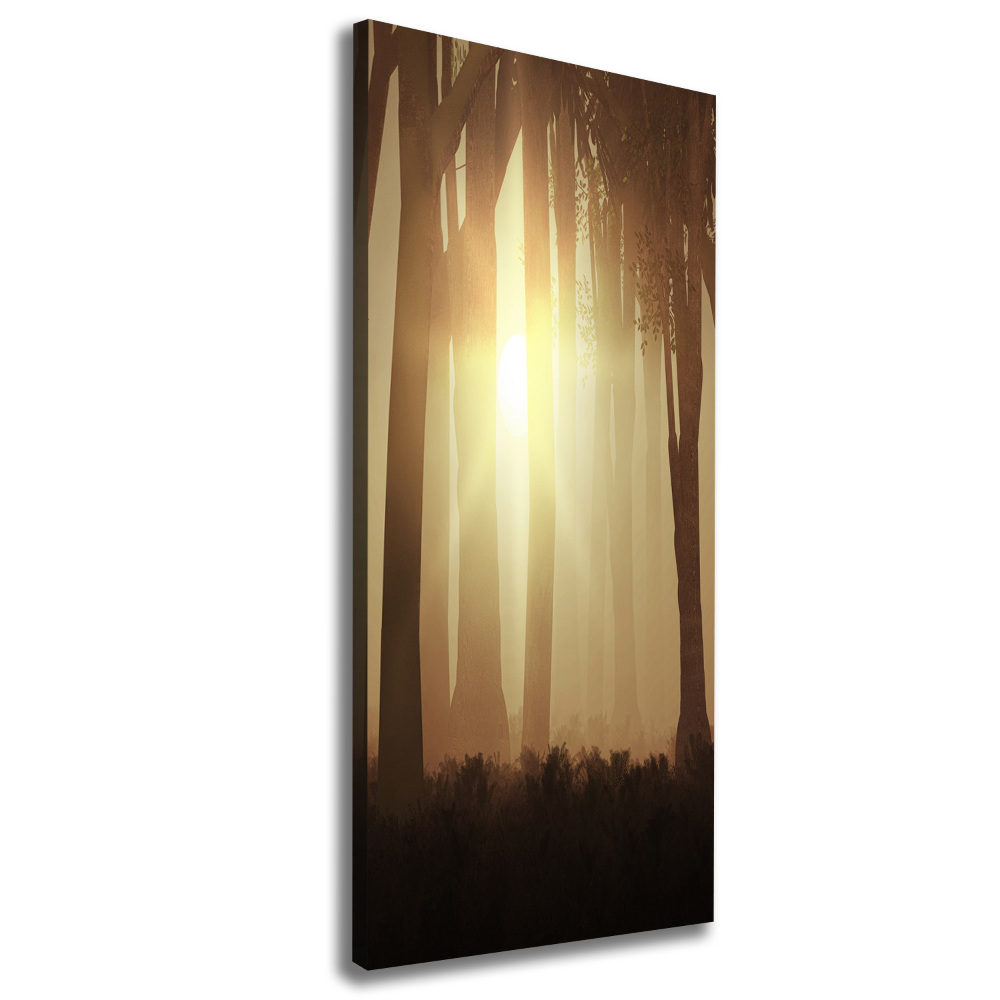 Canvas print Fog in the forest