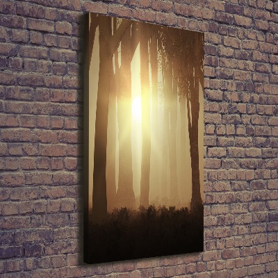 Canvas print Fog in the forest