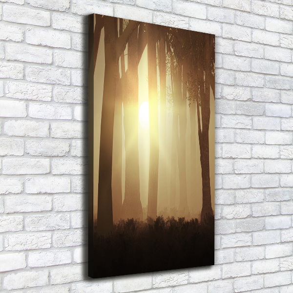 Canvas print Fog in the forest