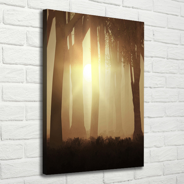 Canvas print Fog in the forest