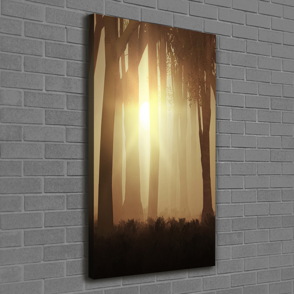 Canvas print Fog in the forest