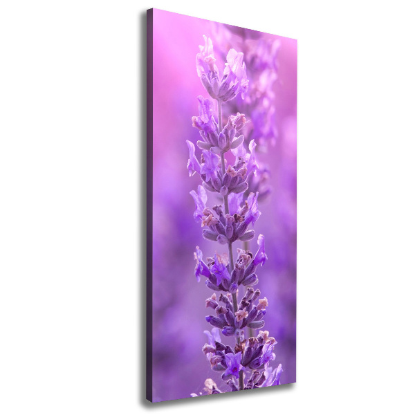 Large canvas wall art Lavender field