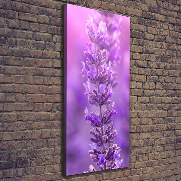 Large canvas wall art Lavender field