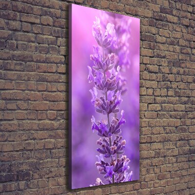 Large canvas wall art Lavender field