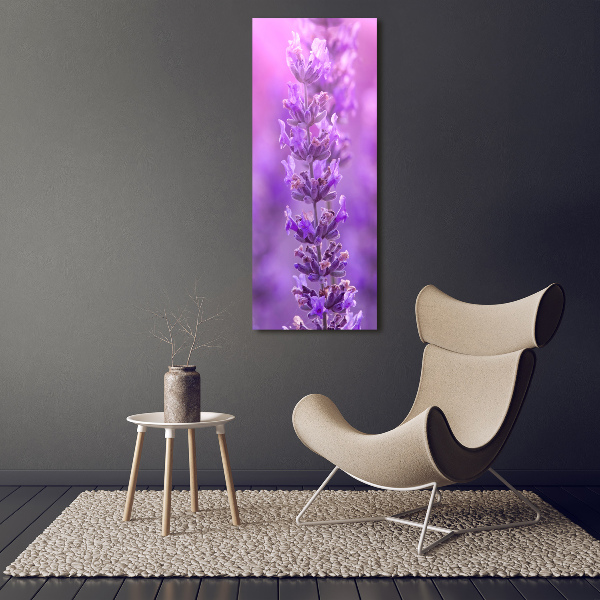 Large canvas wall art Lavender field