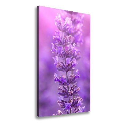 Large canvas wall art Lavender field