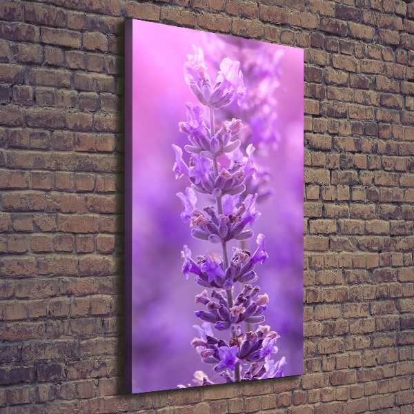 Large canvas wall art Lavender field