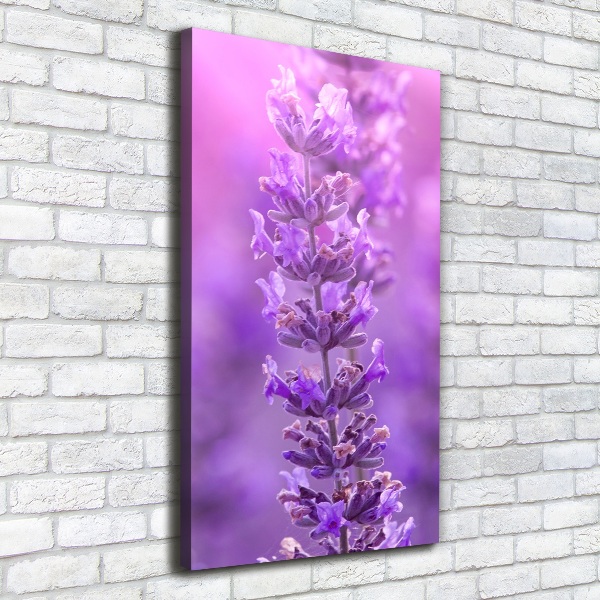 Large canvas wall art Lavender field