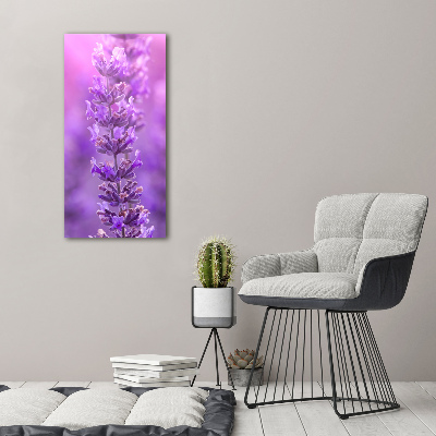 Large canvas wall art Lavender field