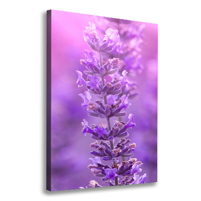 Large canvas wall art Lavender field