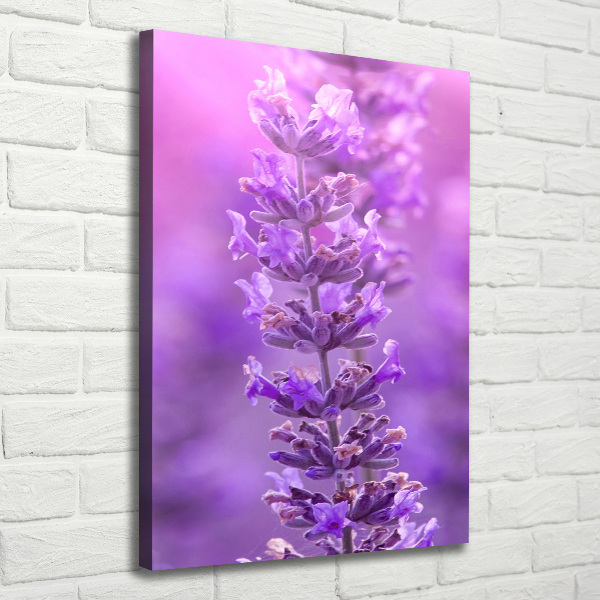 Large canvas wall art Lavender field