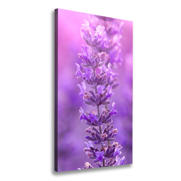 Large canvas wall art Lavender field