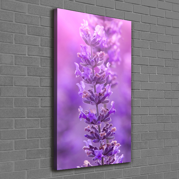 Large canvas wall art Lavender field