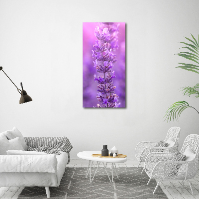 Large canvas wall art Lavender field