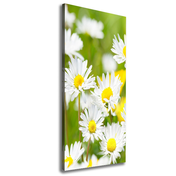 Canvas print Daisy