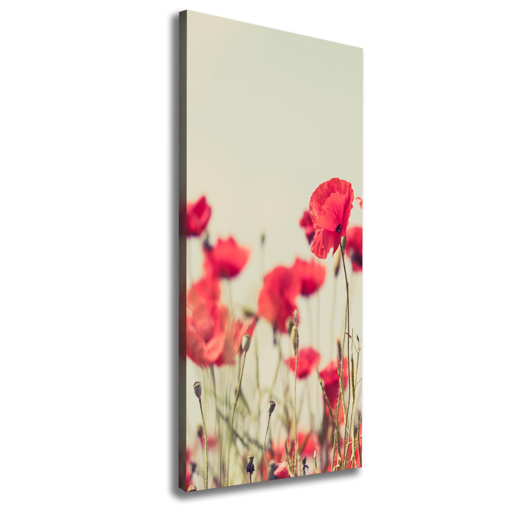 Canvas print Field poppies