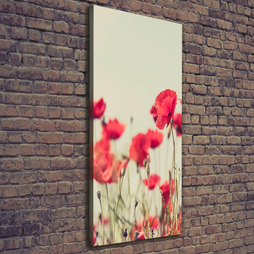 Canvas print Field poppies