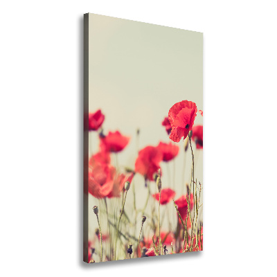 Canvas print Field poppies