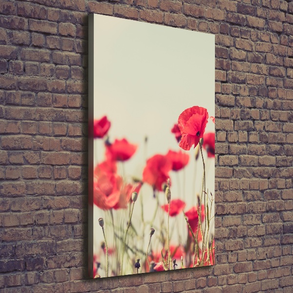 Canvas print Field poppies