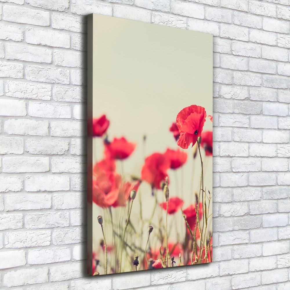 Canvas print Field poppies