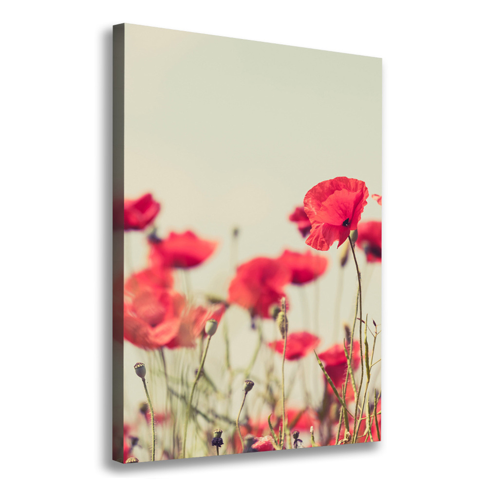 Canvas print Field poppies