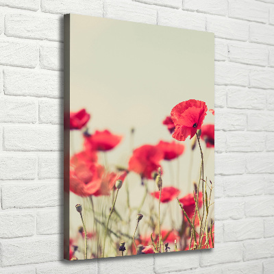 Canvas print Field poppies