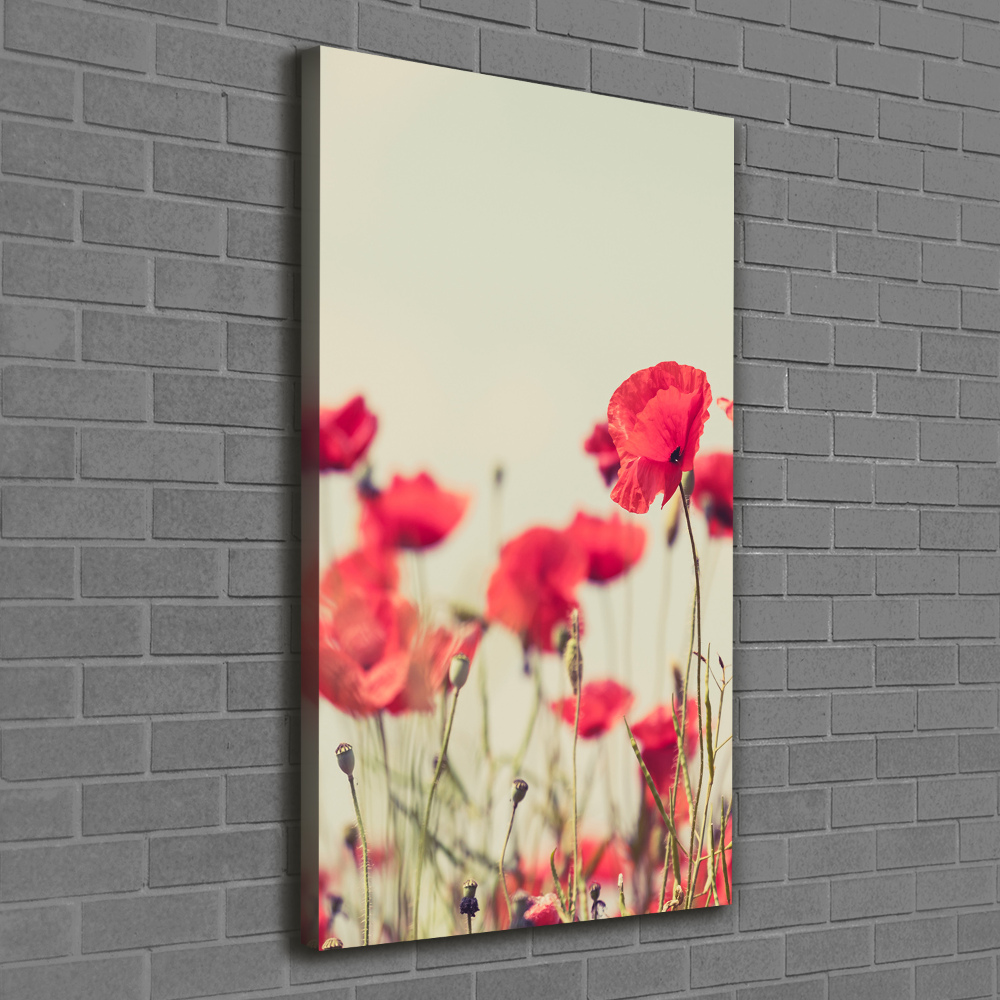 Canvas print Field poppies