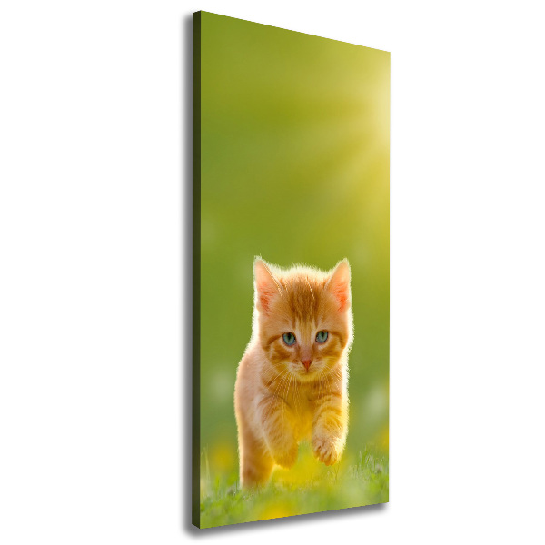 Canvas wall art Red Cat