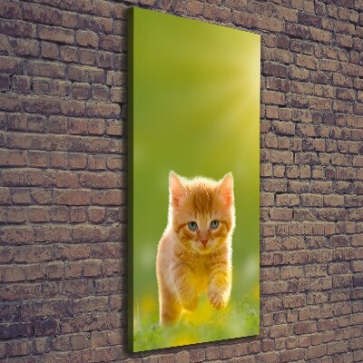 Canvas wall art Red Cat