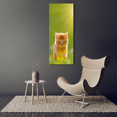 Canvas wall art Red Cat